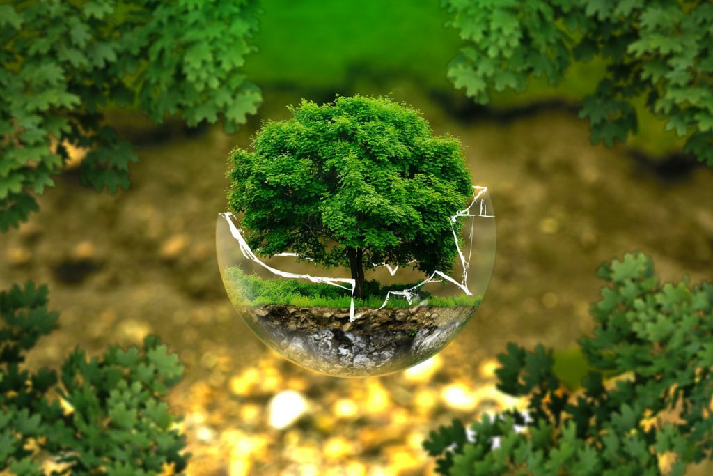 plantation environment protection